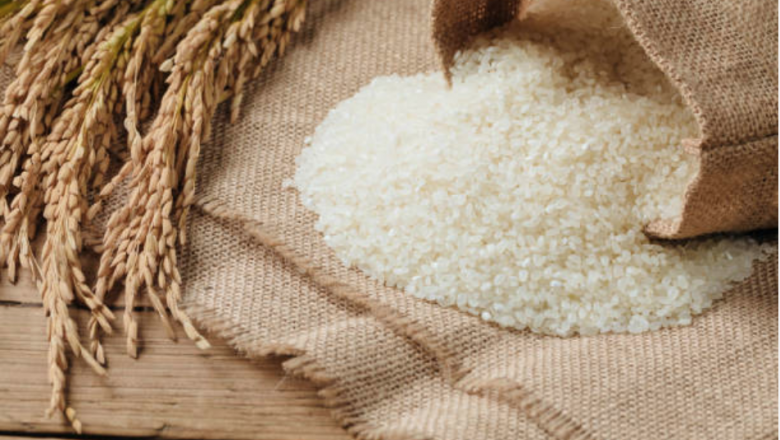 Gobierno presenta Ruta del arroz