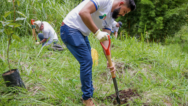 Grupo INS celebró el Día del Árbol con jornadas de siembra