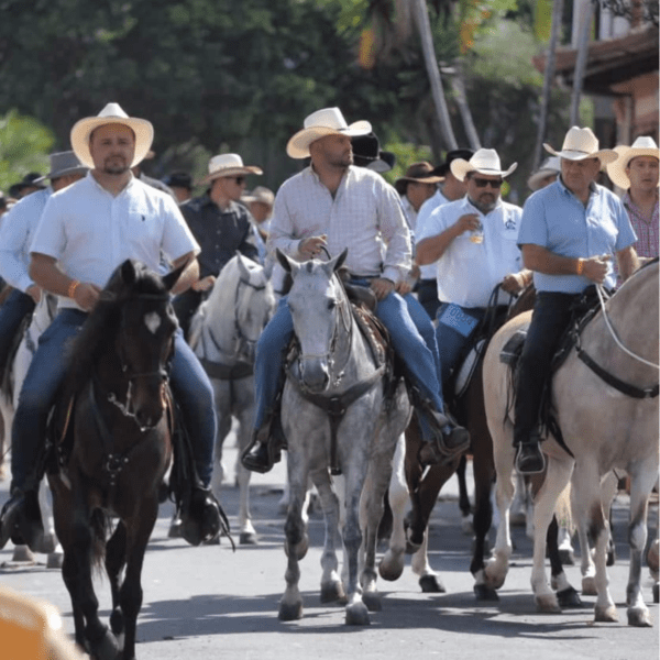 Celebra el Día Nacional del Caballista y ayúdanos a salvar vidas