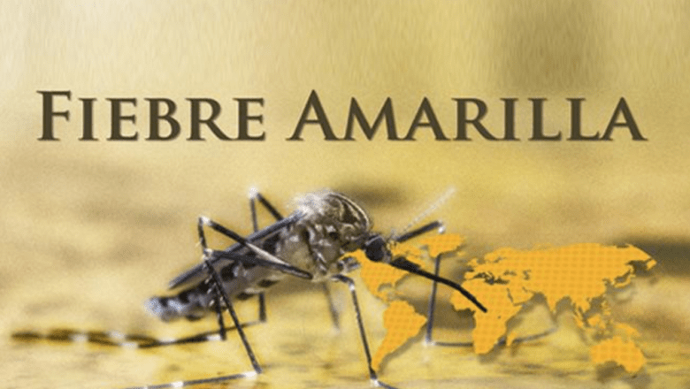 Salud refuerza medidas preventivas ante el aumento de casos de fiebre amarilla en la región de las Américas