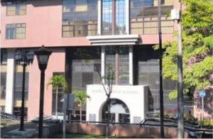 TSE ENDURECE REGLAS PARA LA RENOVACIÓN INTERNA DE LOS PARTIDOS POLÍTICOS